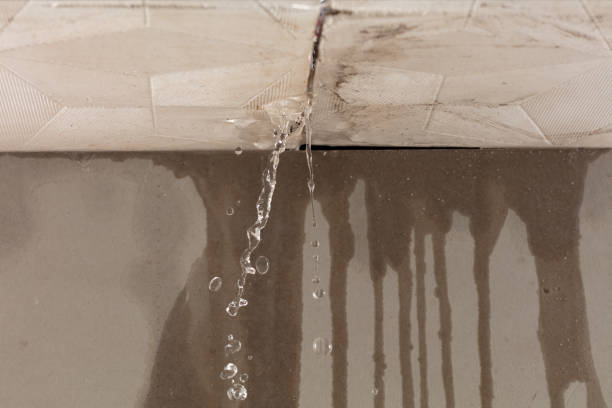 Professional Burst Pipe Cleanup technician working in Justin, TX